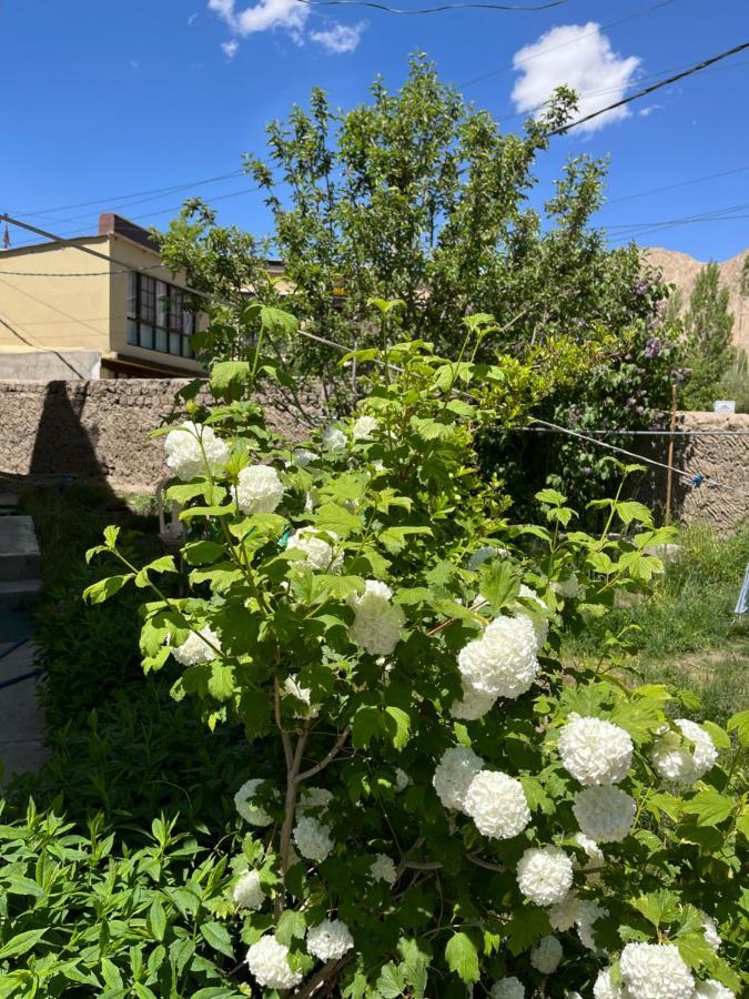 Chakzot Garden House Leh Exterior foto