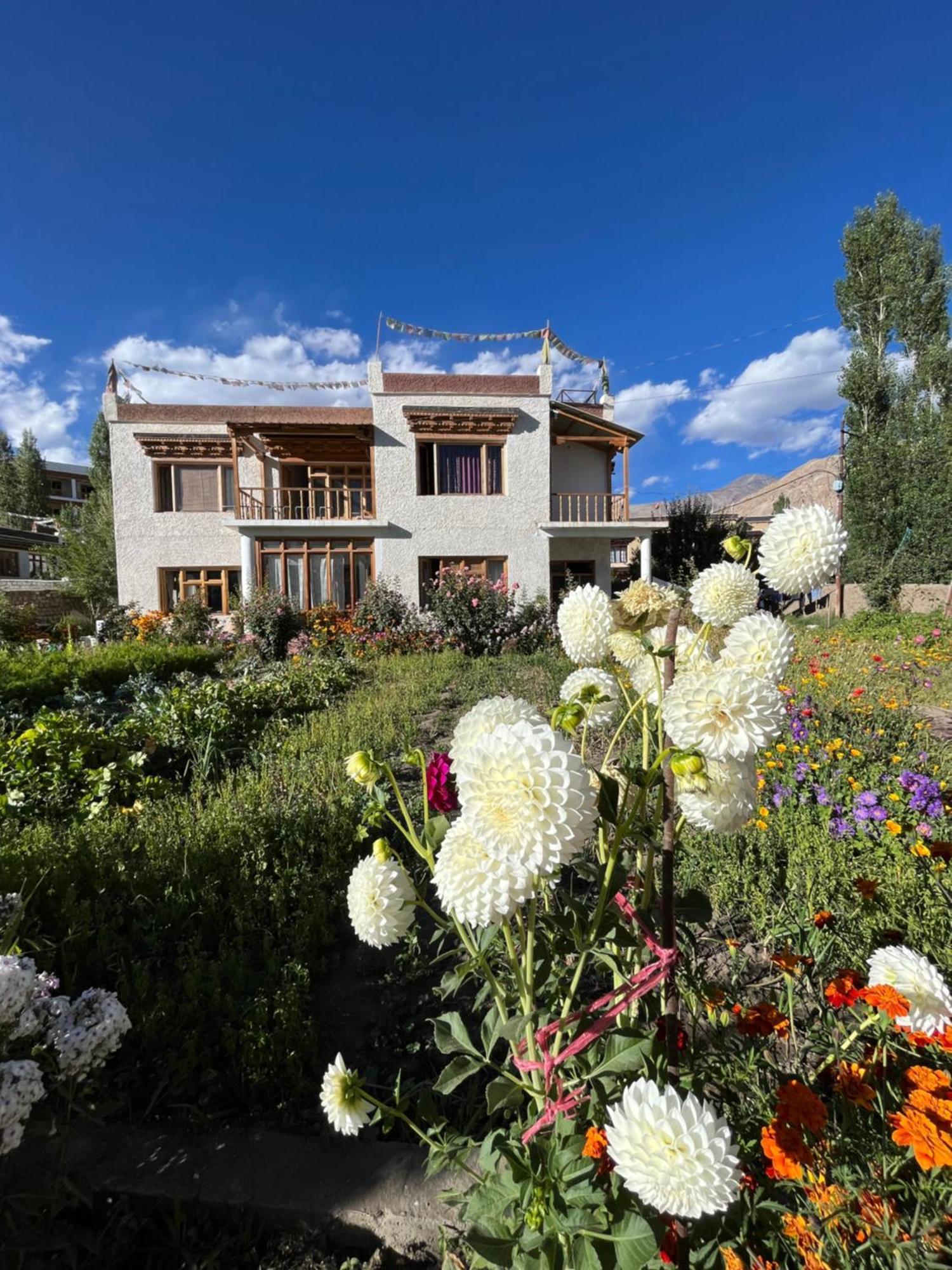 Chakzot Garden House Leh Exterior foto